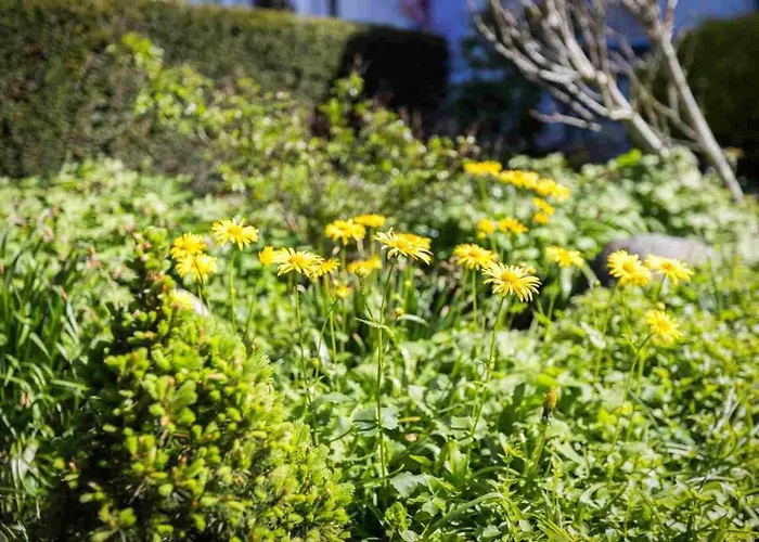 Apartamento 5 Id 117